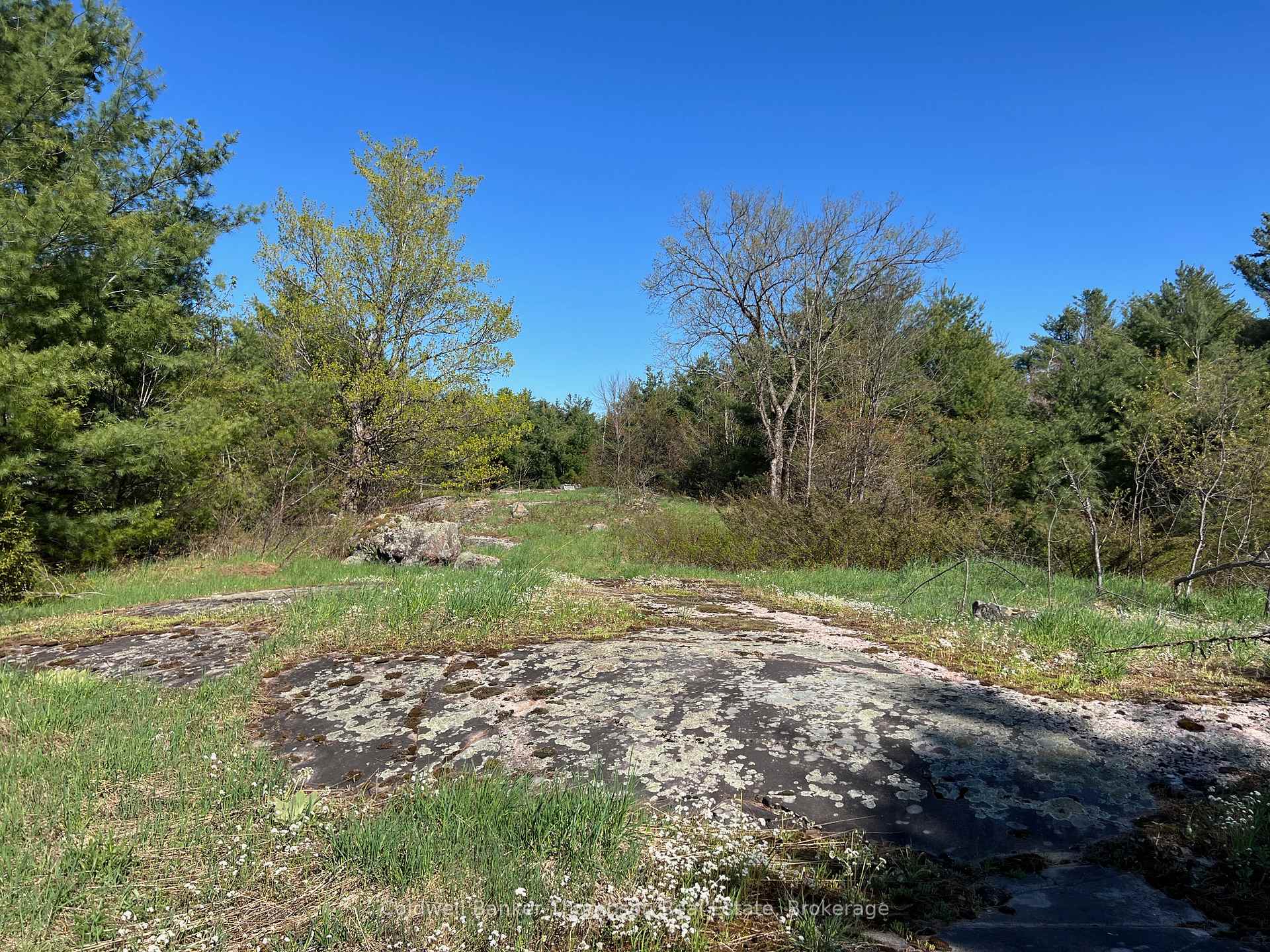 1513 Fairgrounds Road, Ramara — photo 2 of 5