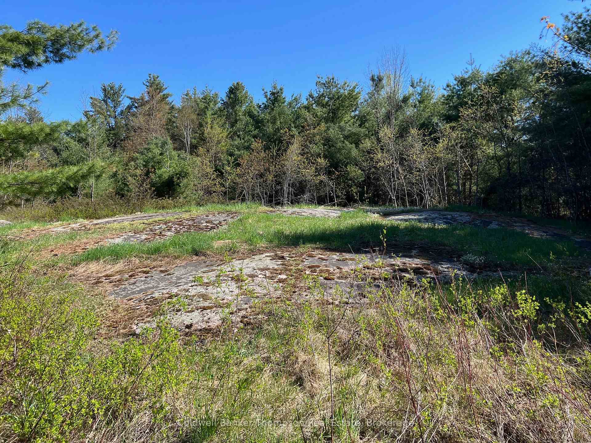 1513 Fairgrounds Road, Ramara — photo 3 of 5