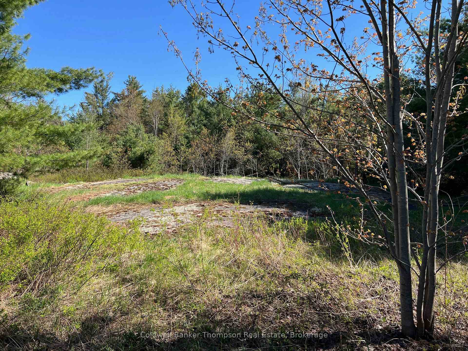 1513 Fairgrounds Road, Ramara — photo 4 of 5