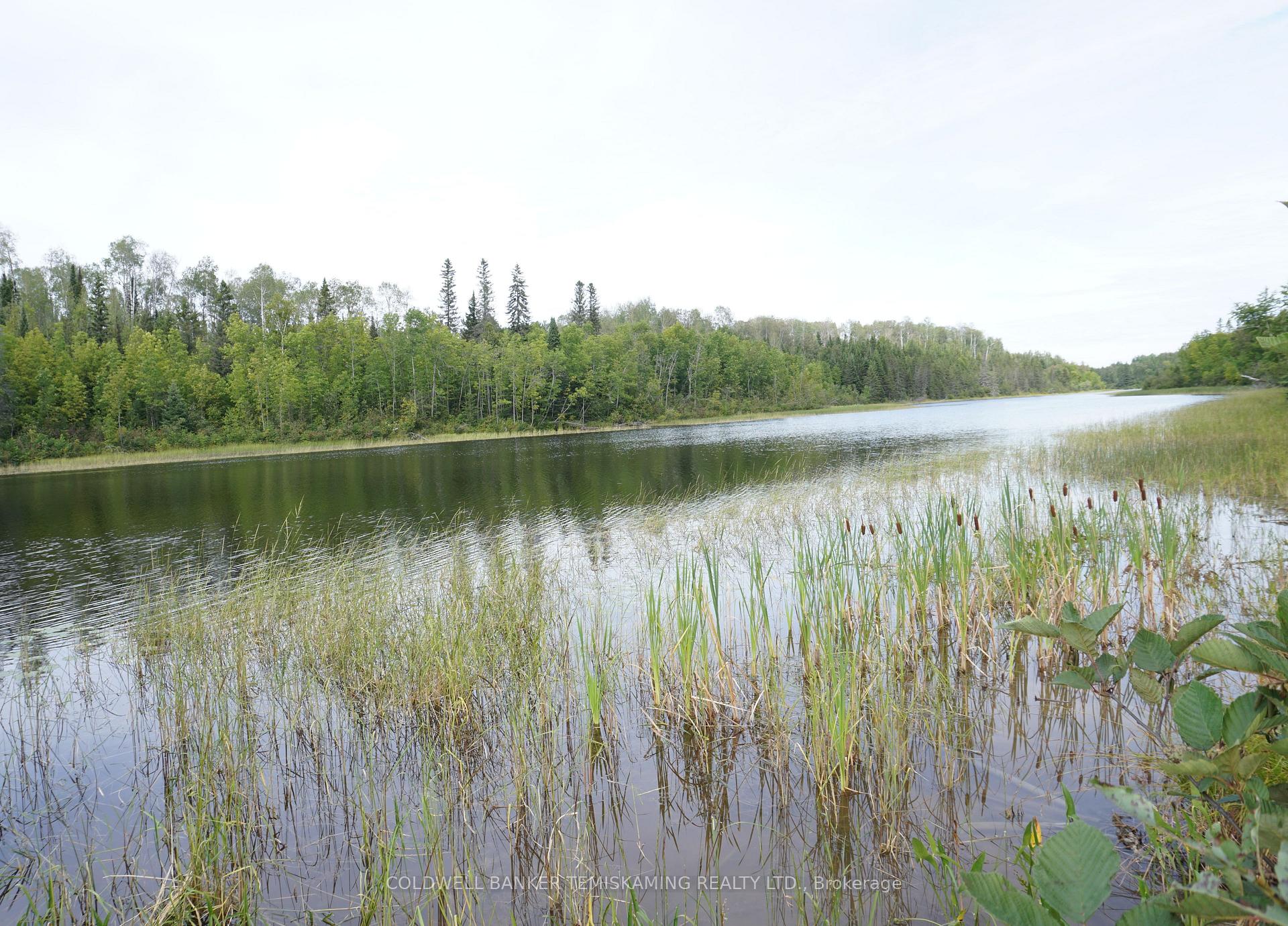 Lot 1 CAMPBELL'S Road, Timiskaming — photo 4 of 5