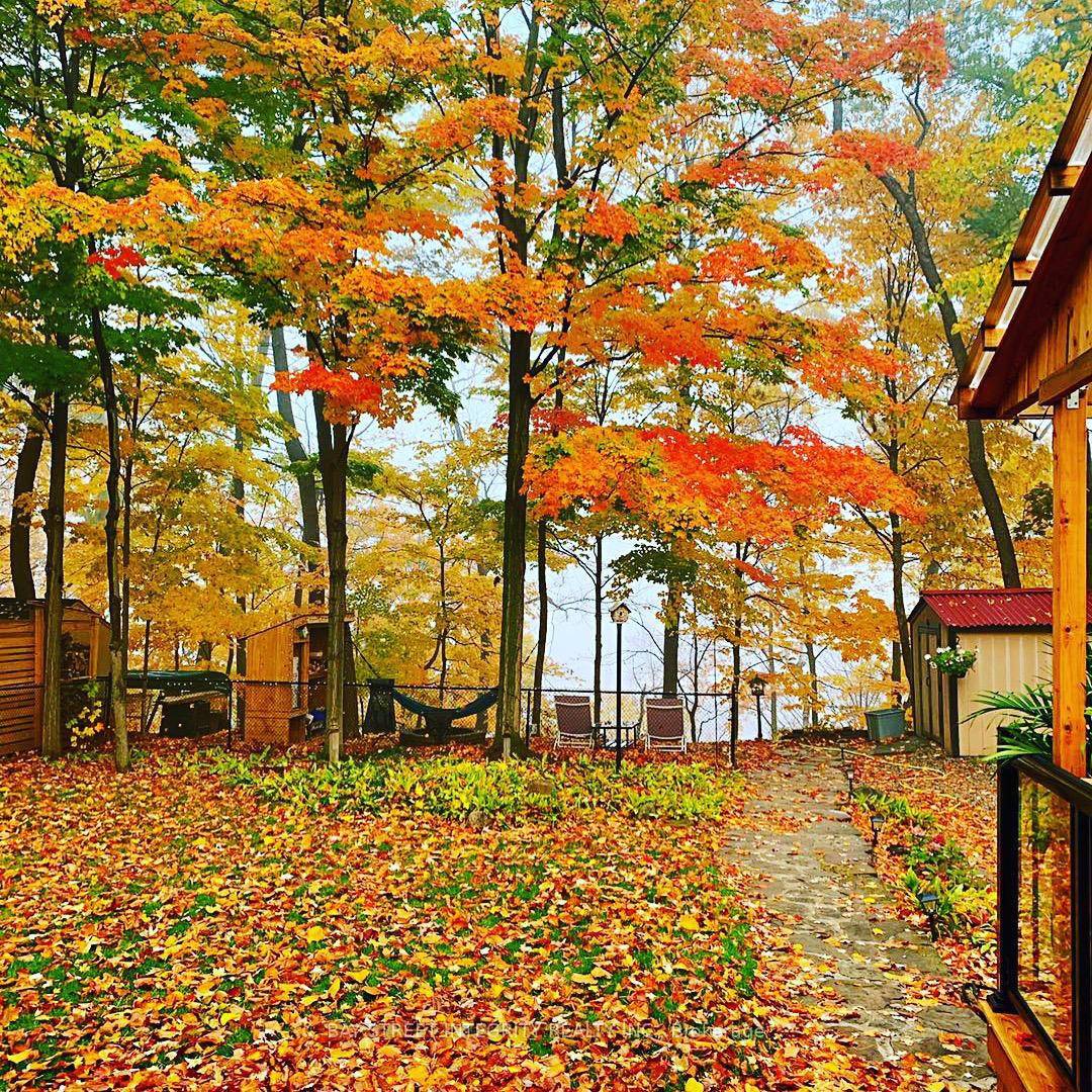 home-1