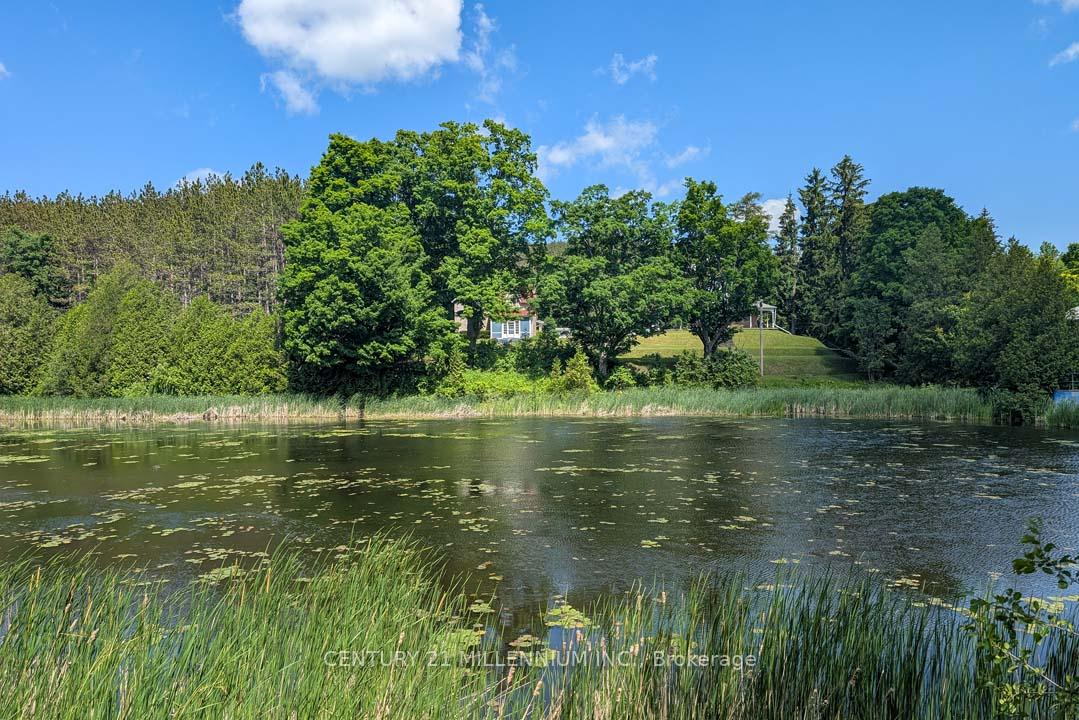 1380 Queen Street W, Caledon — photo 4 of 5