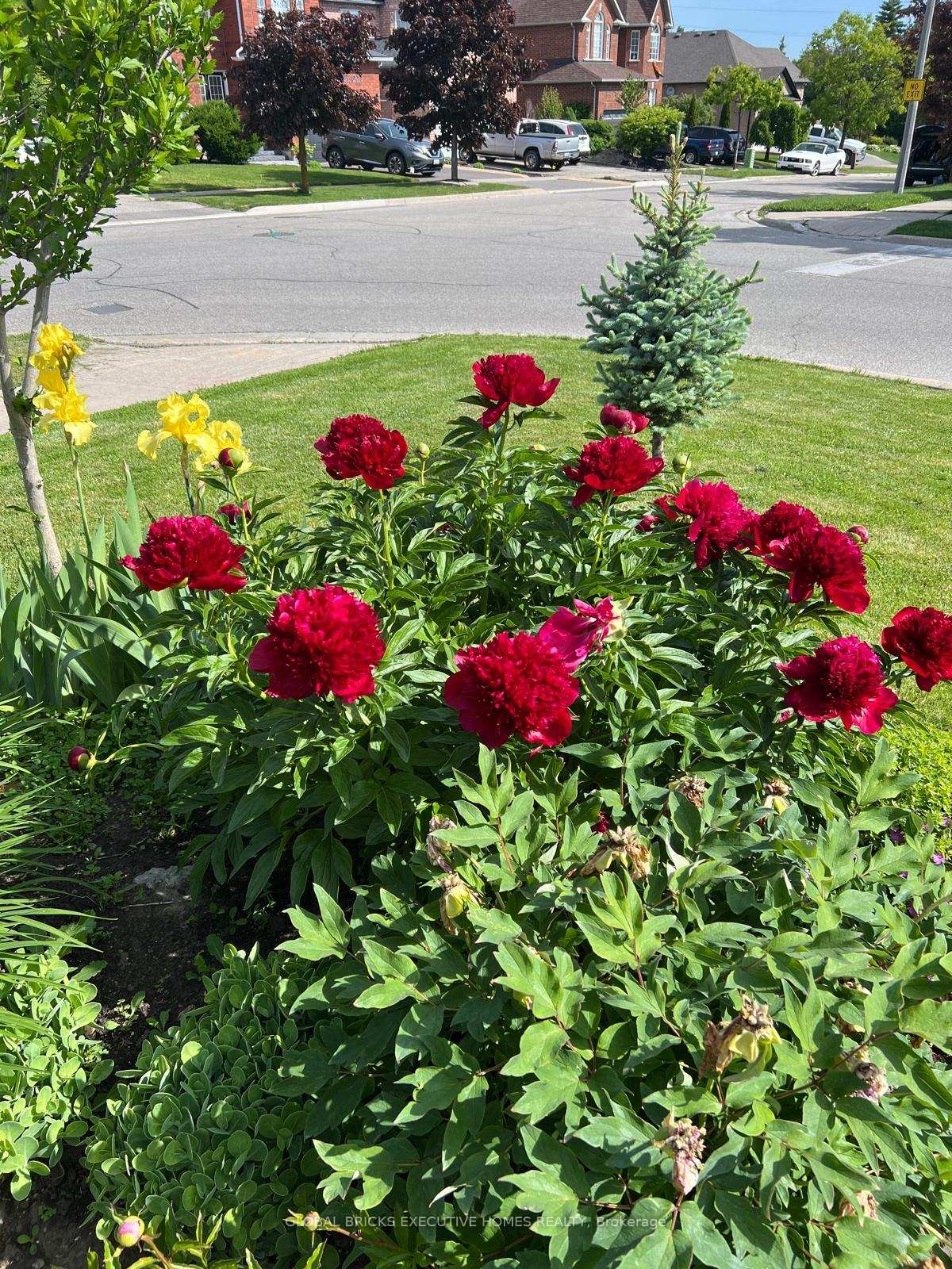 40 Hubert corless Drive S, Caledon — photo 4 of 5