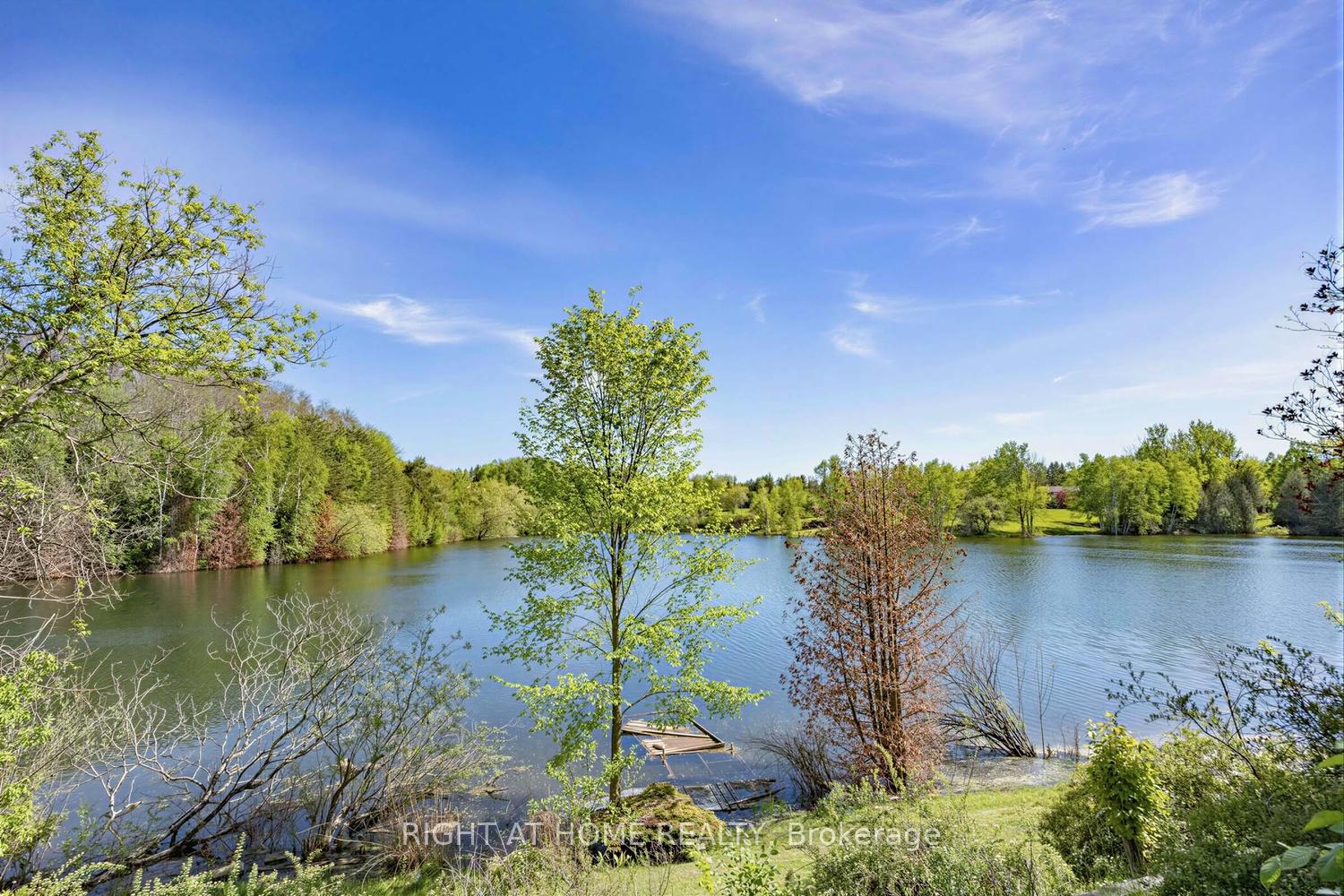 16140 Mount Hope Road, Caledon — photo 5 of 5