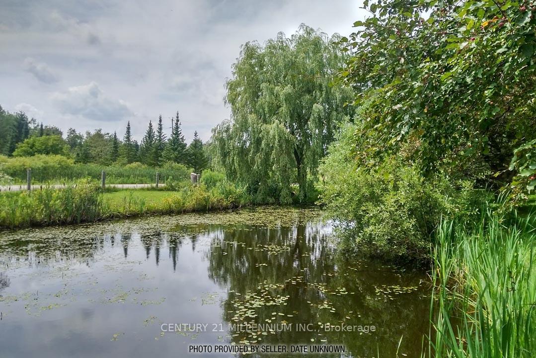 18599 Horseshoe Hill Road, Caledon — photo 3 of 5
