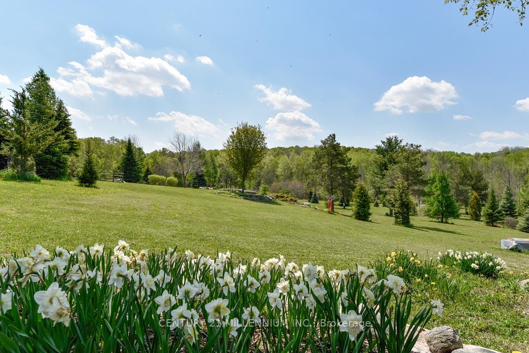 17218 Innis Lake Road, Caledon — photo 2 of 5