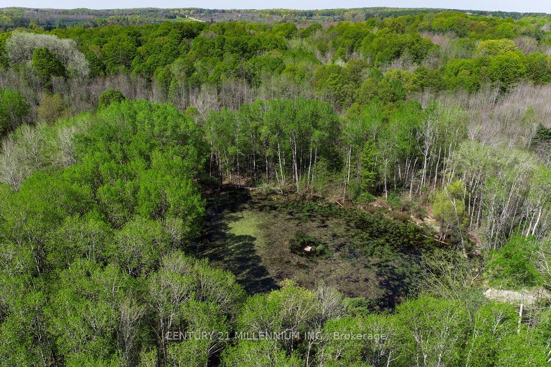 17218 Innis Lake Road, Caledon — photo 3 of 5