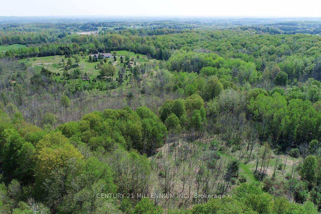 17218 Innis Lake Road, Caledon — photo 5 of 5