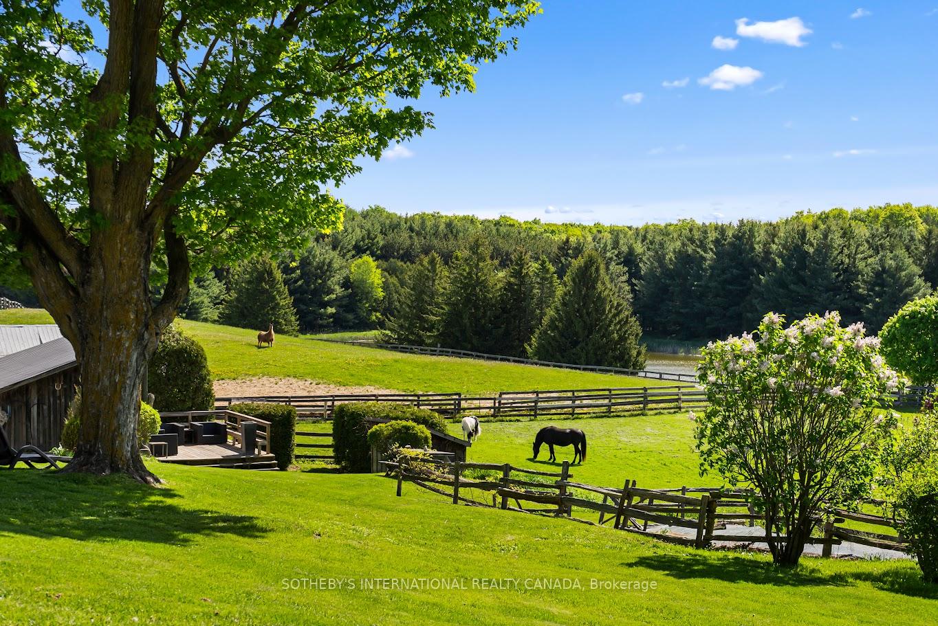 18101 Shaws Creek Road, Caledon — photo 3 of 5