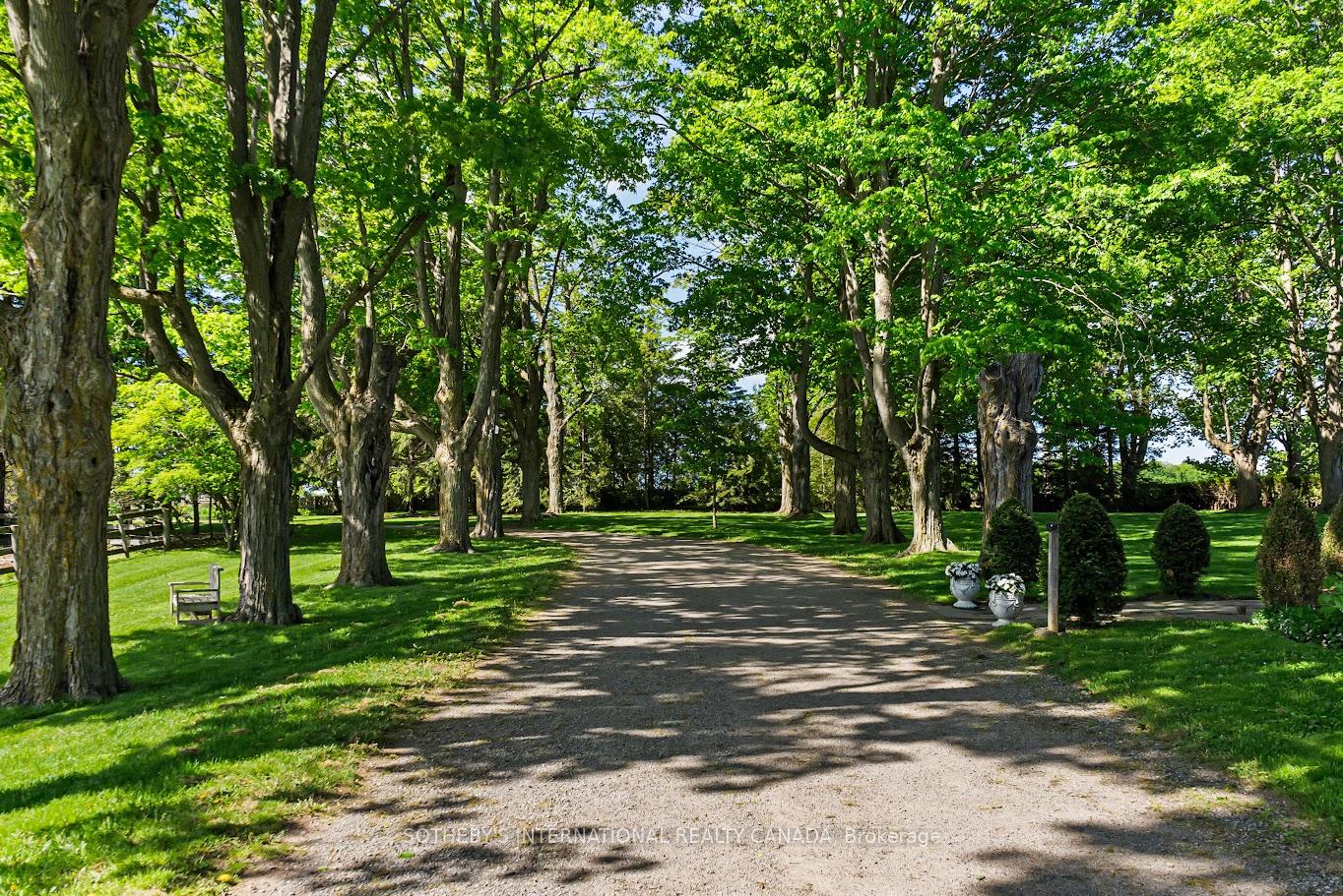 18101 Shaws Creek Road, Caledon — photo 5 of 5