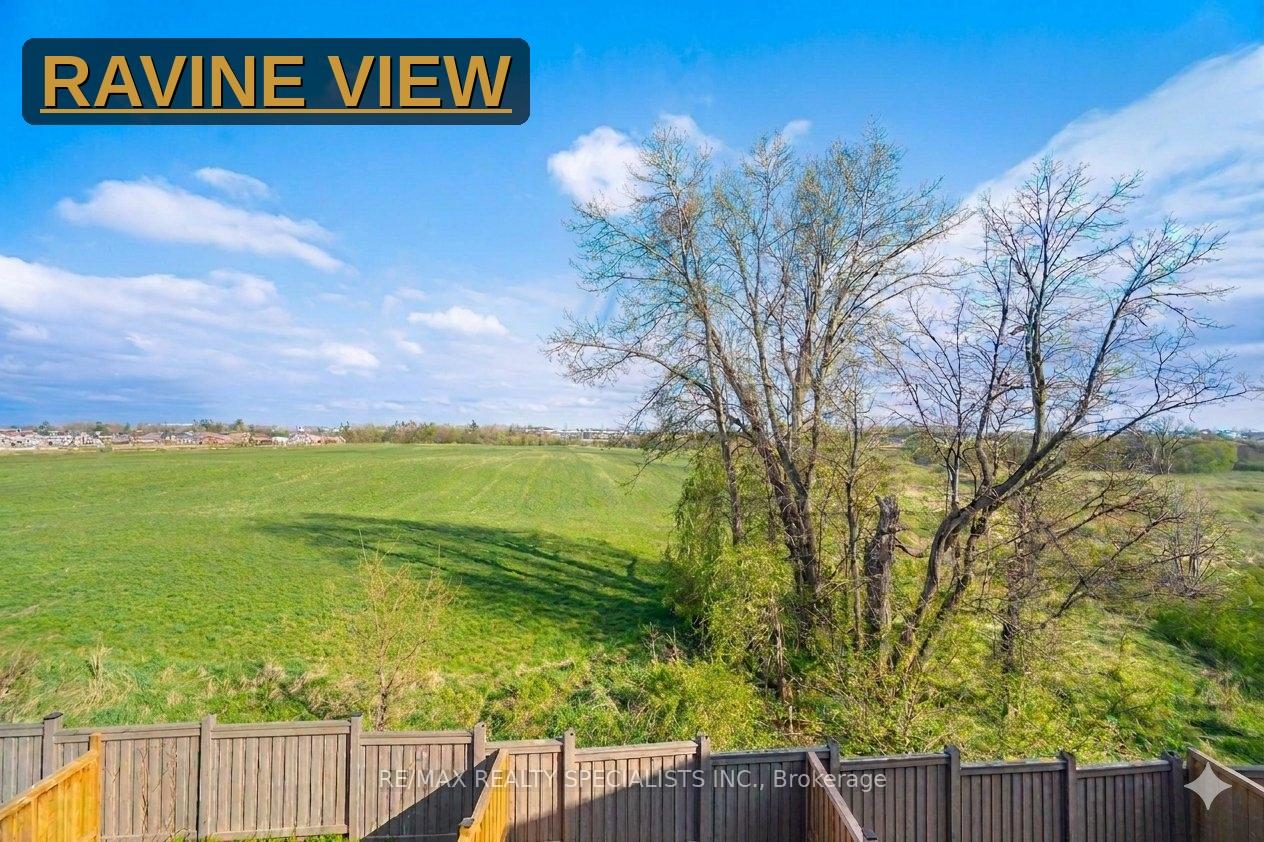 13 Dalbeattie Drive N, Brampton, ON L6Y 6H7