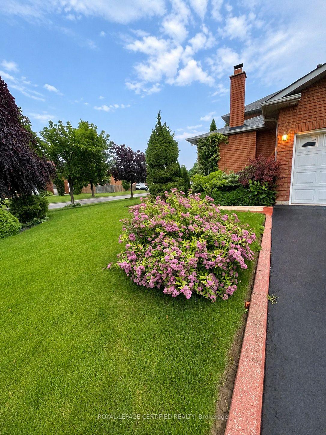 961 Stargazer Drive Bsmt, Mississauga, ON L5V 1E9