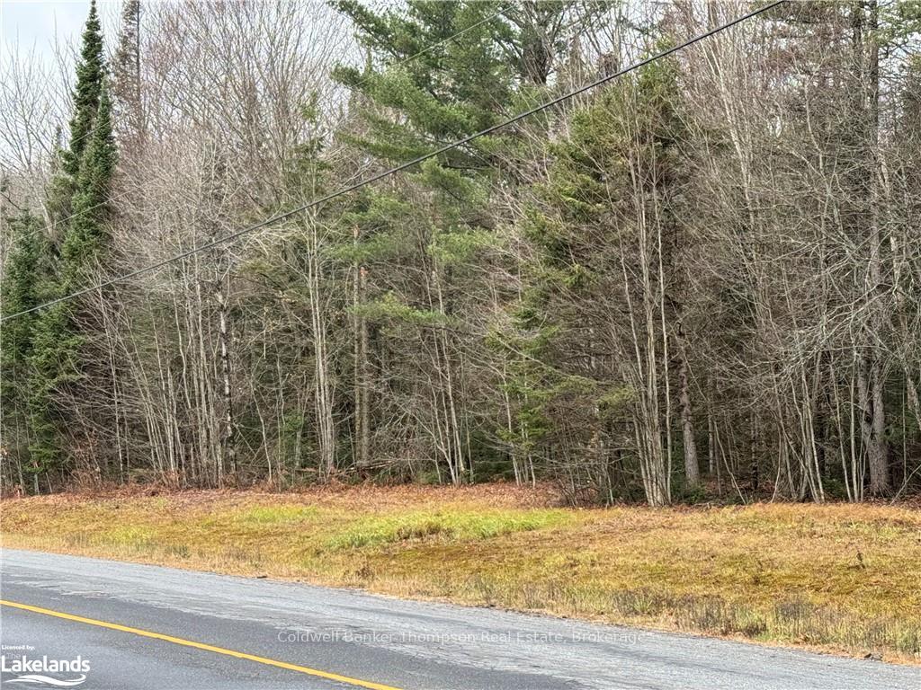 LOTS 1, 2 & 3 HIGHWAY 518 W N/A, McMurrich/Monteith, ON P0A 1Y0