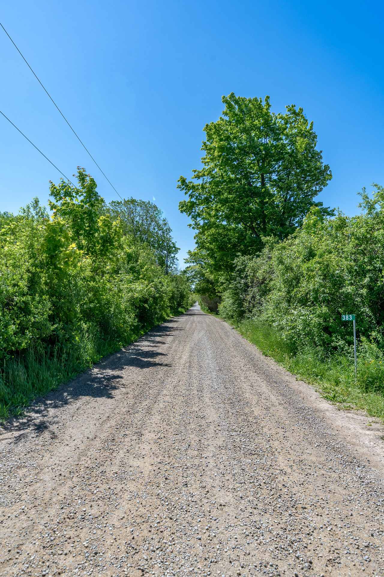 383 Chase Road, Prince Edward County — photo 3 of 5