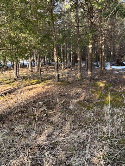 1 southgate srd 57 Road N, Southgate — photo 2 of 5