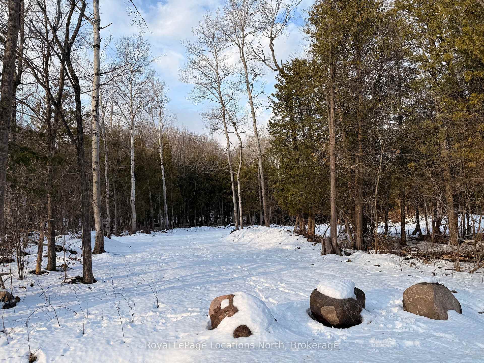 residential Property Image no.1