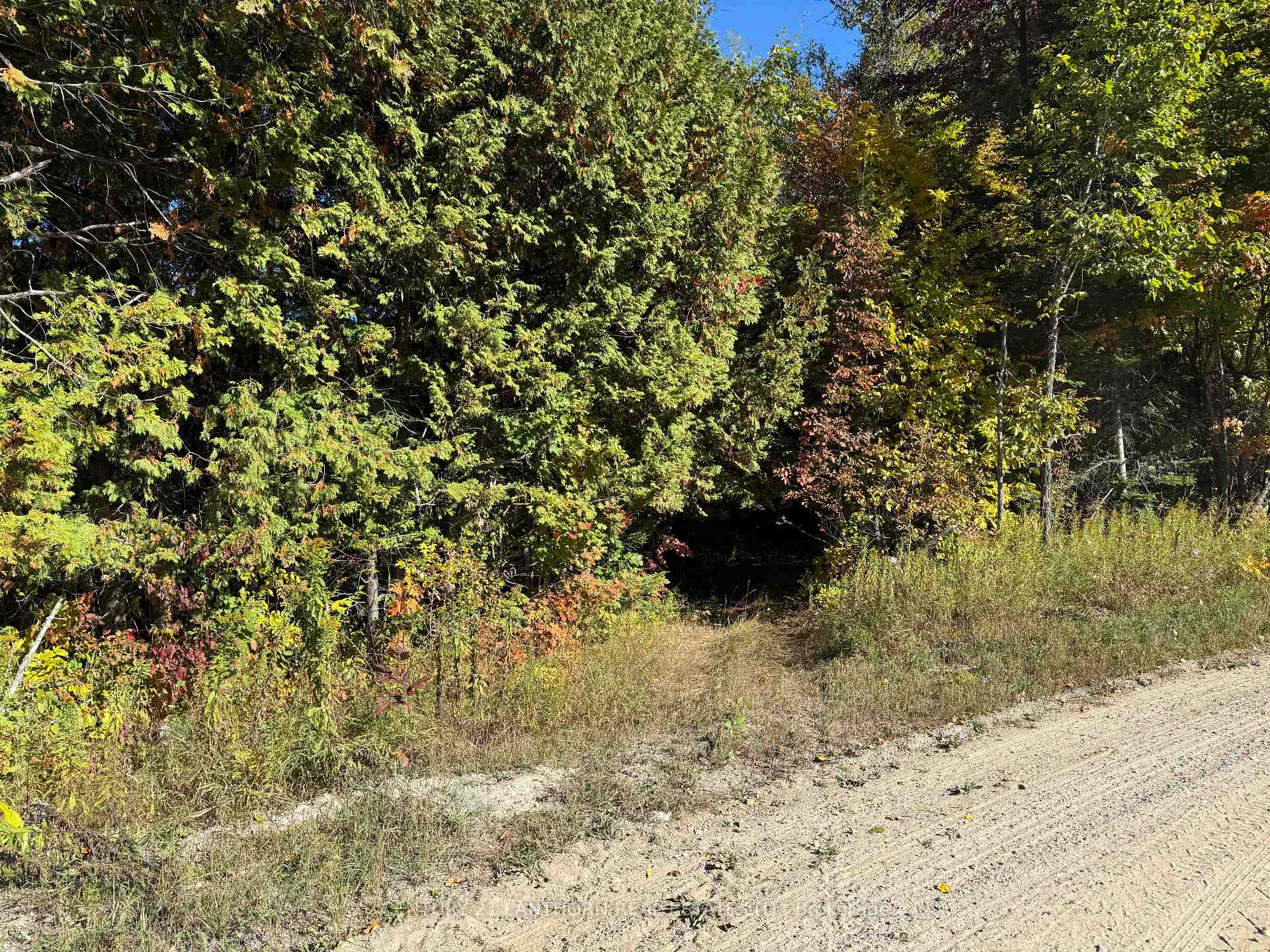 residential Property Image no.1