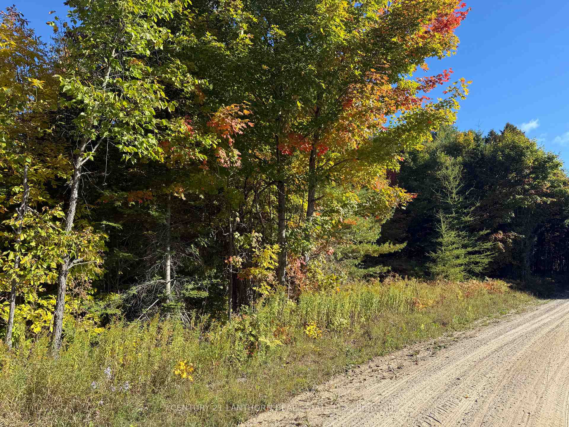 residential Property Image no.1