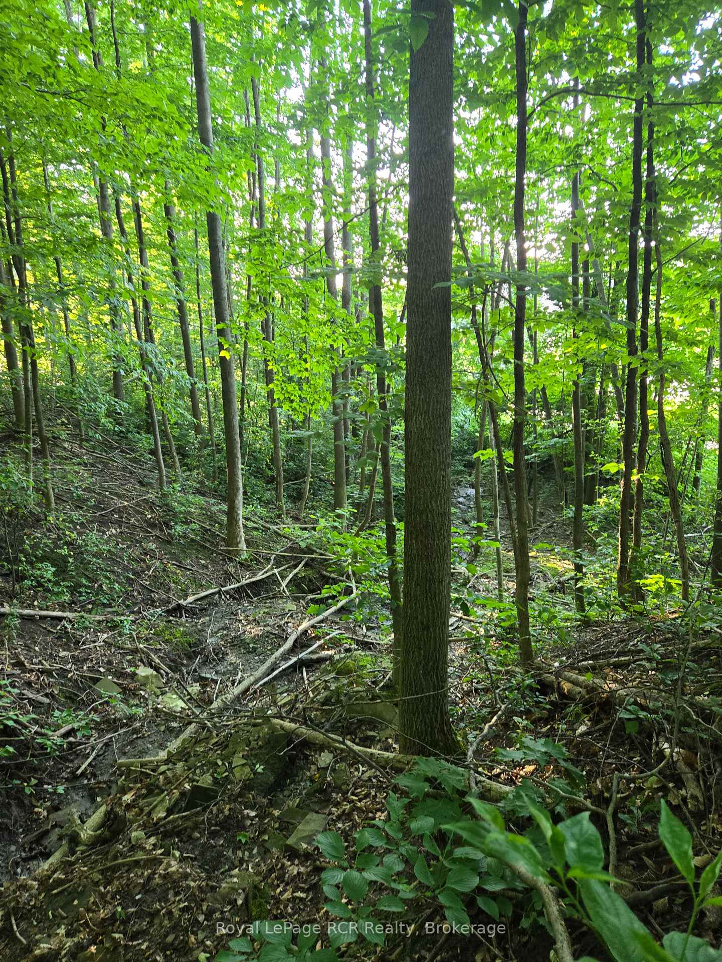 130 Old Highway 26 Highway, Meaford — photo 2 of 5