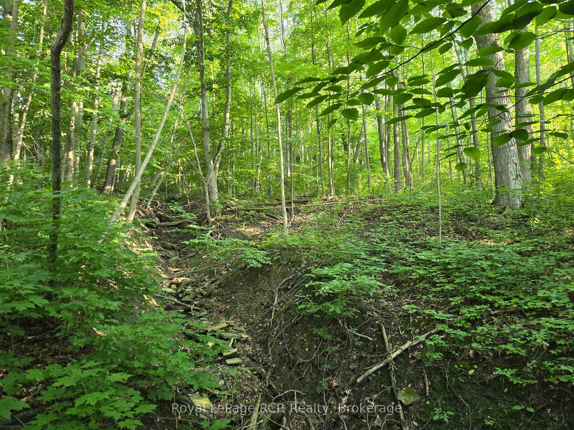 130 Old Highway 26 Highway, Meaford — photo 3 of 5