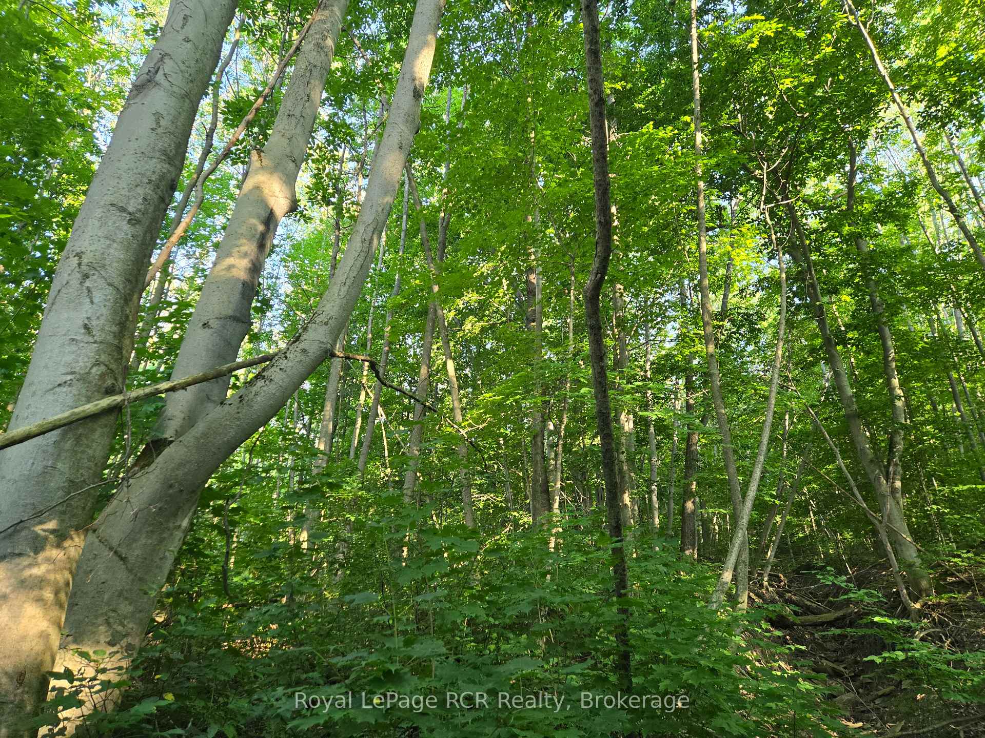 130 Old Highway 26 Highway, Meaford — photo 4 of 5
