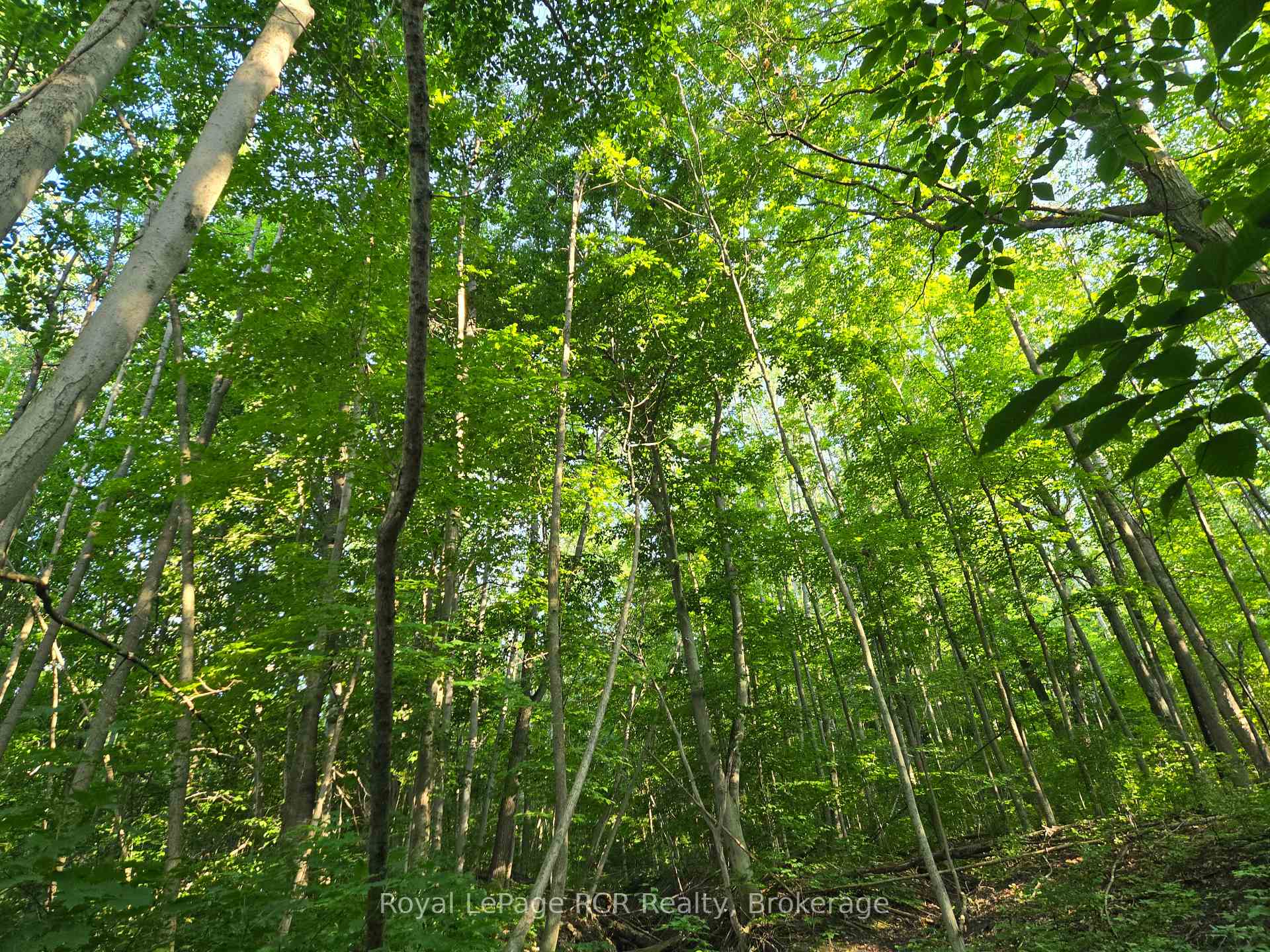 130 Old Highway 26 Highway, Meaford — photo 5 of 5
