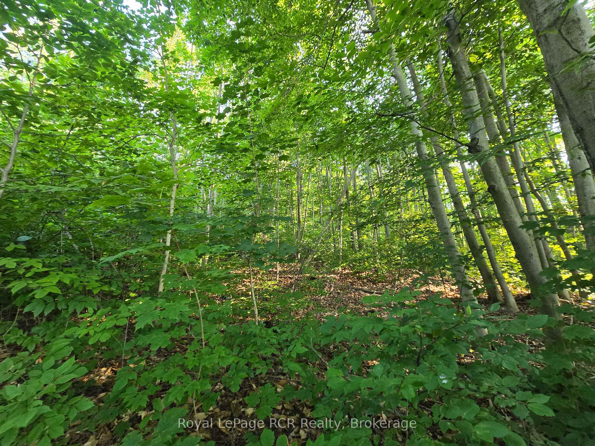 126 Old Highway 26 Highway, Meaford, ON N4L 1W7 — Meaford, Ontario