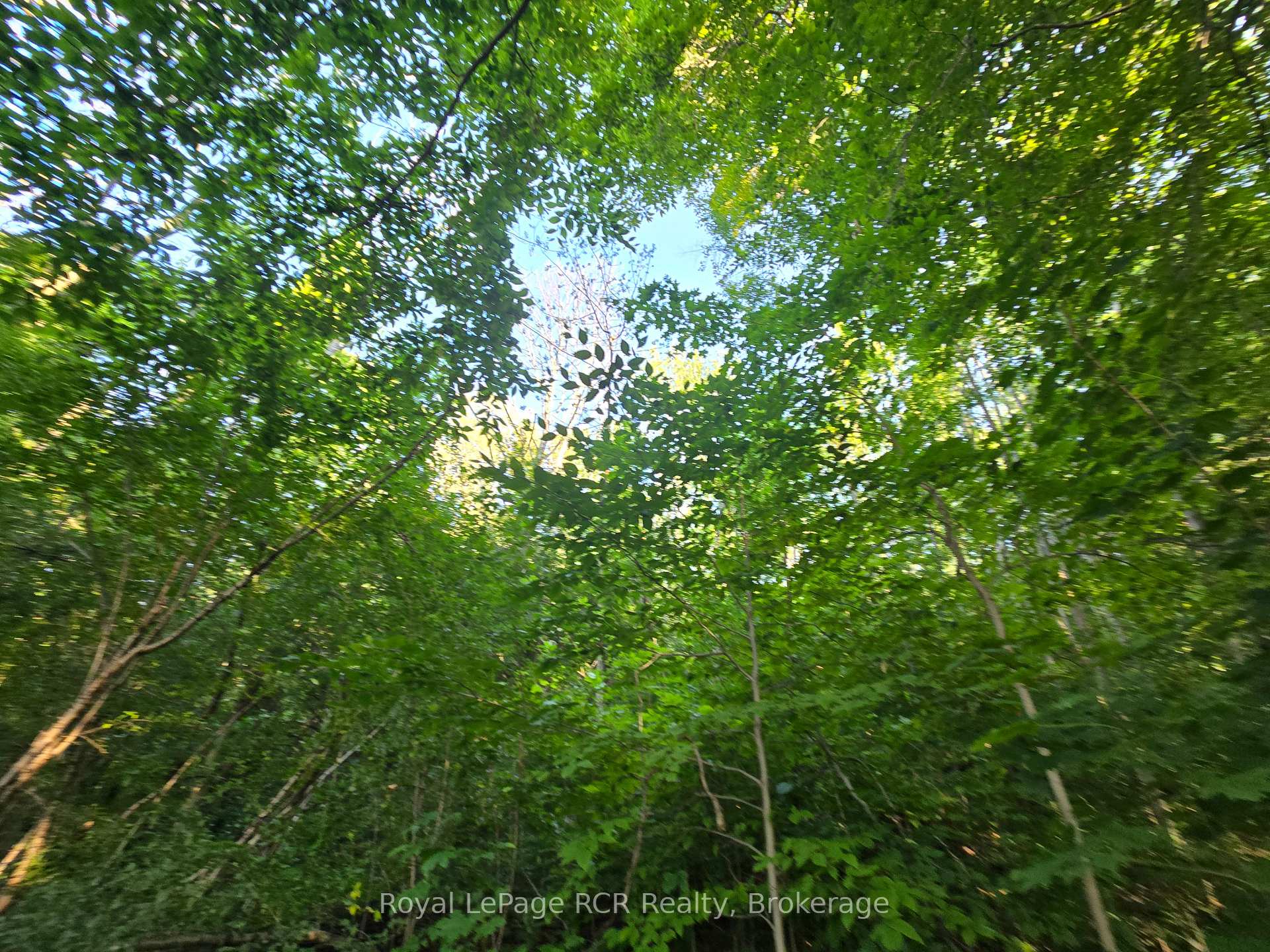 126 Old Highway 26 Highway, Meaford — photo 2 of 5
