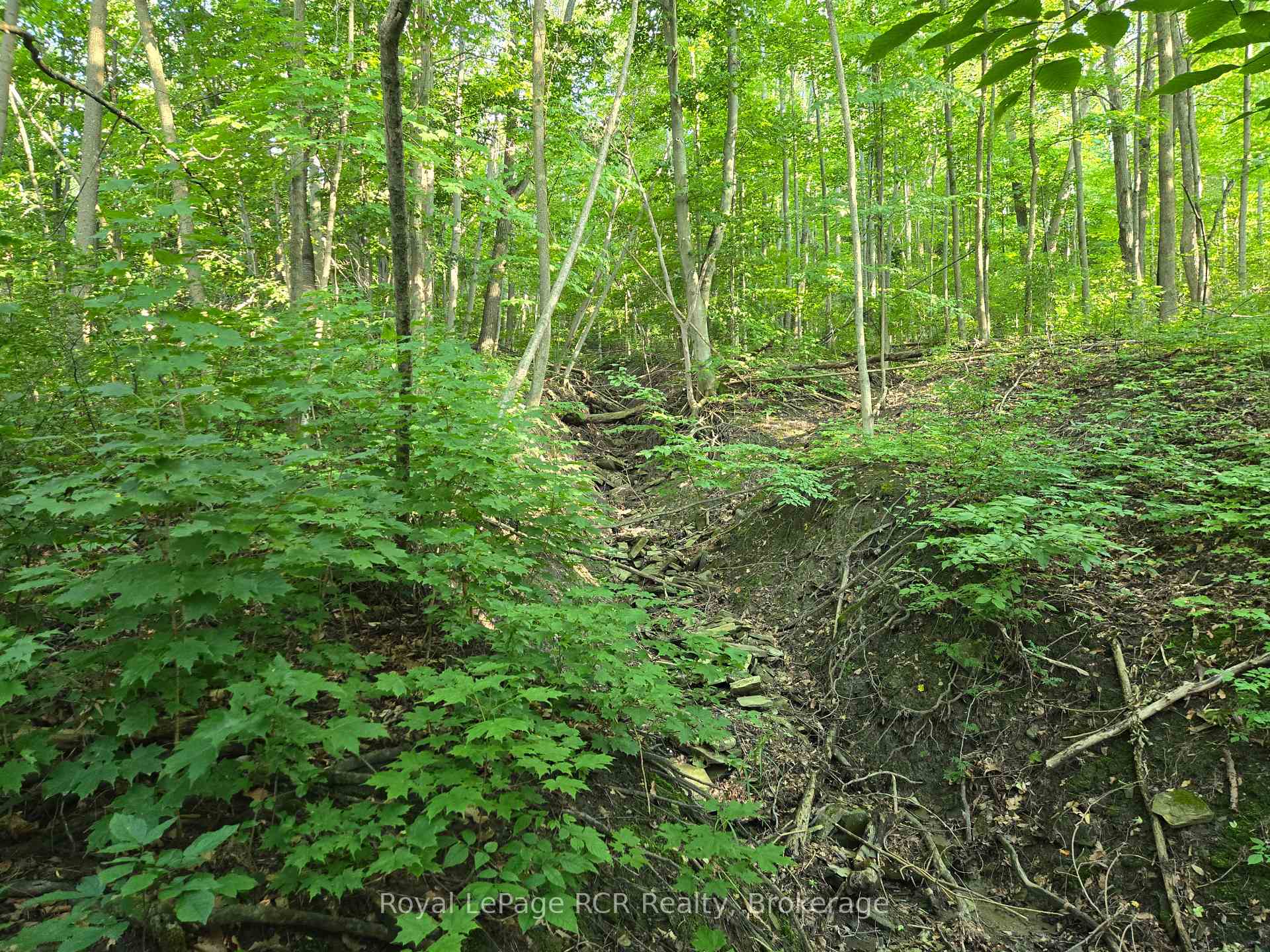 126 Old Highway 26 Highway, Meaford — photo 4 of 5