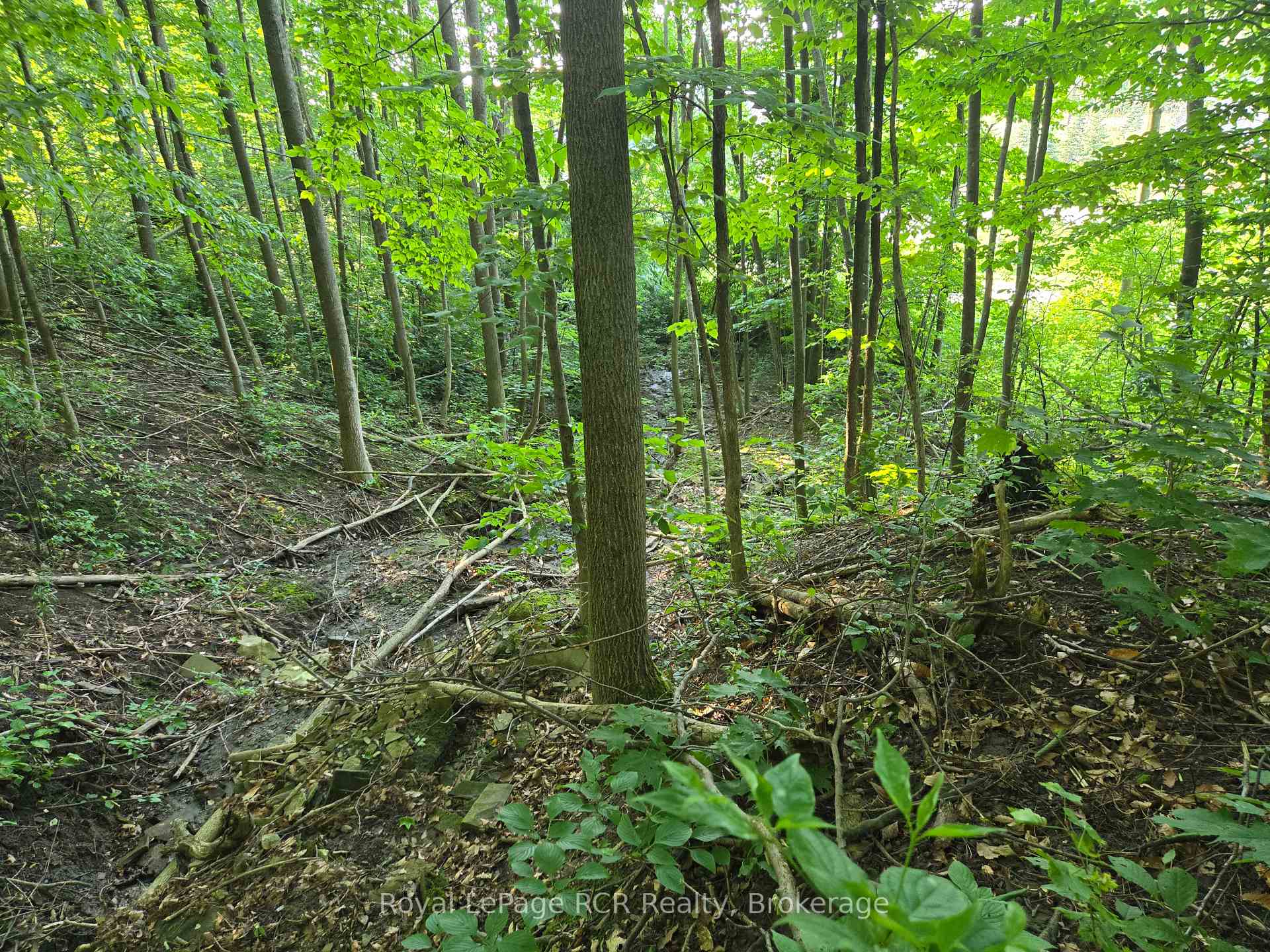 126 Old Highway 26 Highway, Meaford — photo 5 of 5