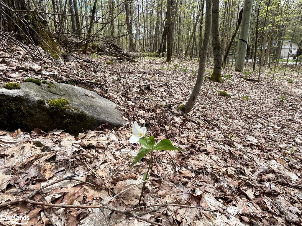 Lot 133 Brennan Circle, Huntsville — photo 4 of 5