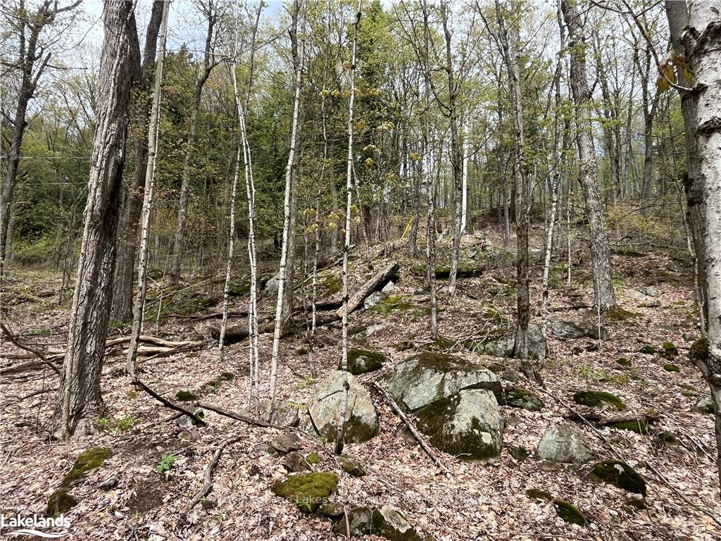 Lot 133 Brennan Circle, Huntsville — photo 5 of 5