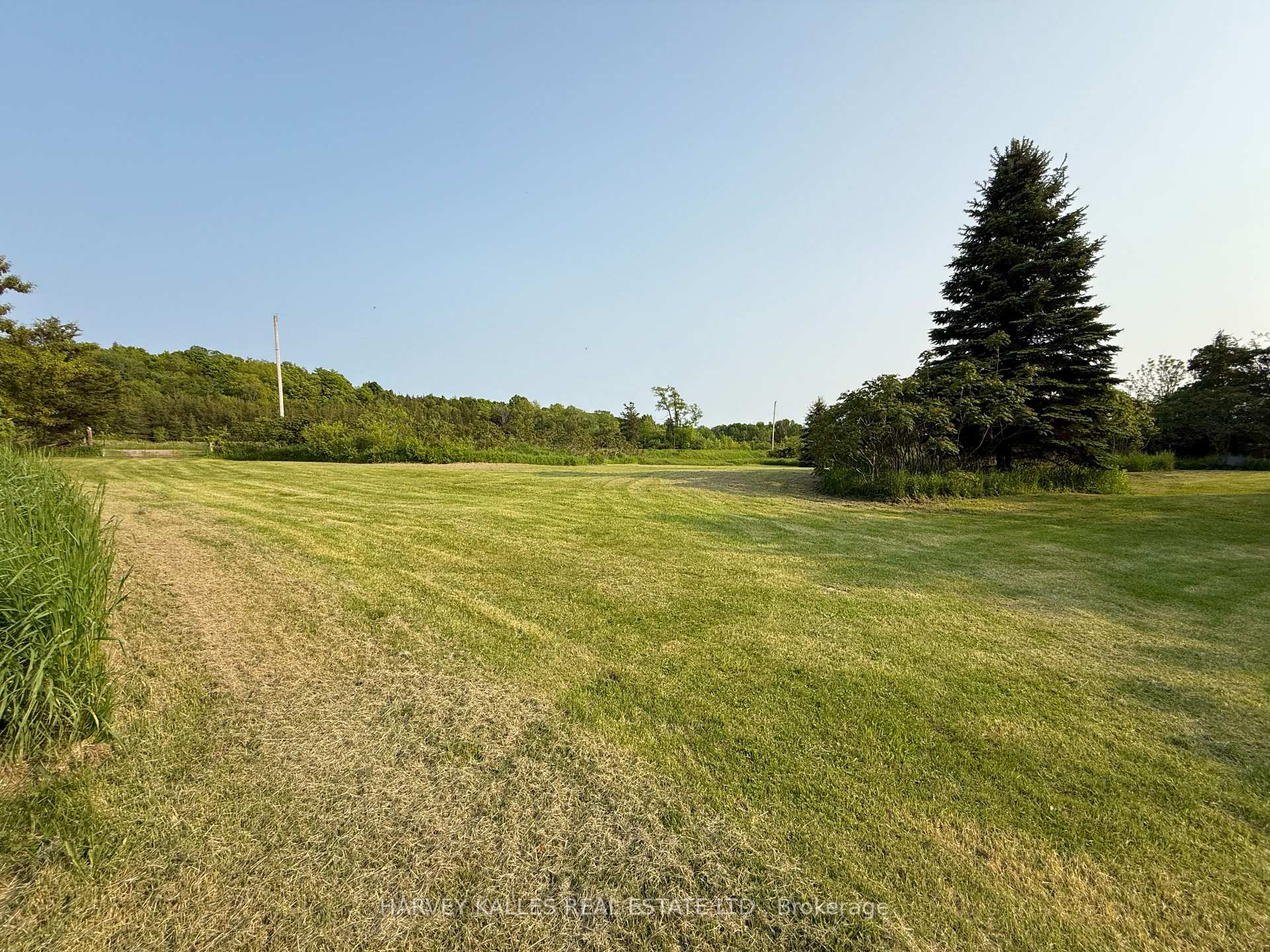 1032 County Road 13 Road, Prince Edward County — photo 3 of 5