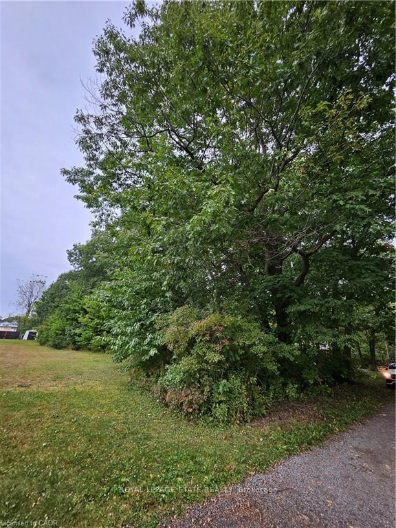 LOT 120 Mohawk Avenue 120, Fort Erie — photo 2 of 2