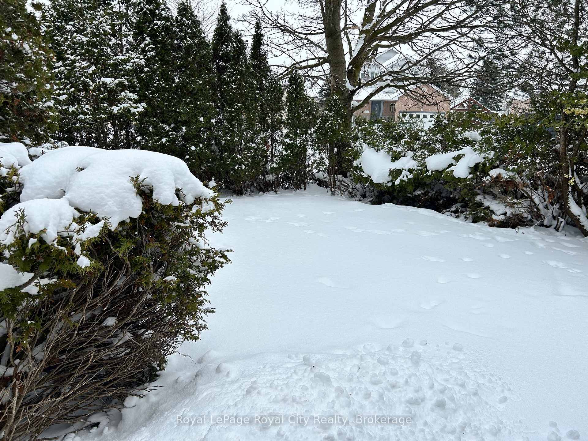 residential Property Image no.1