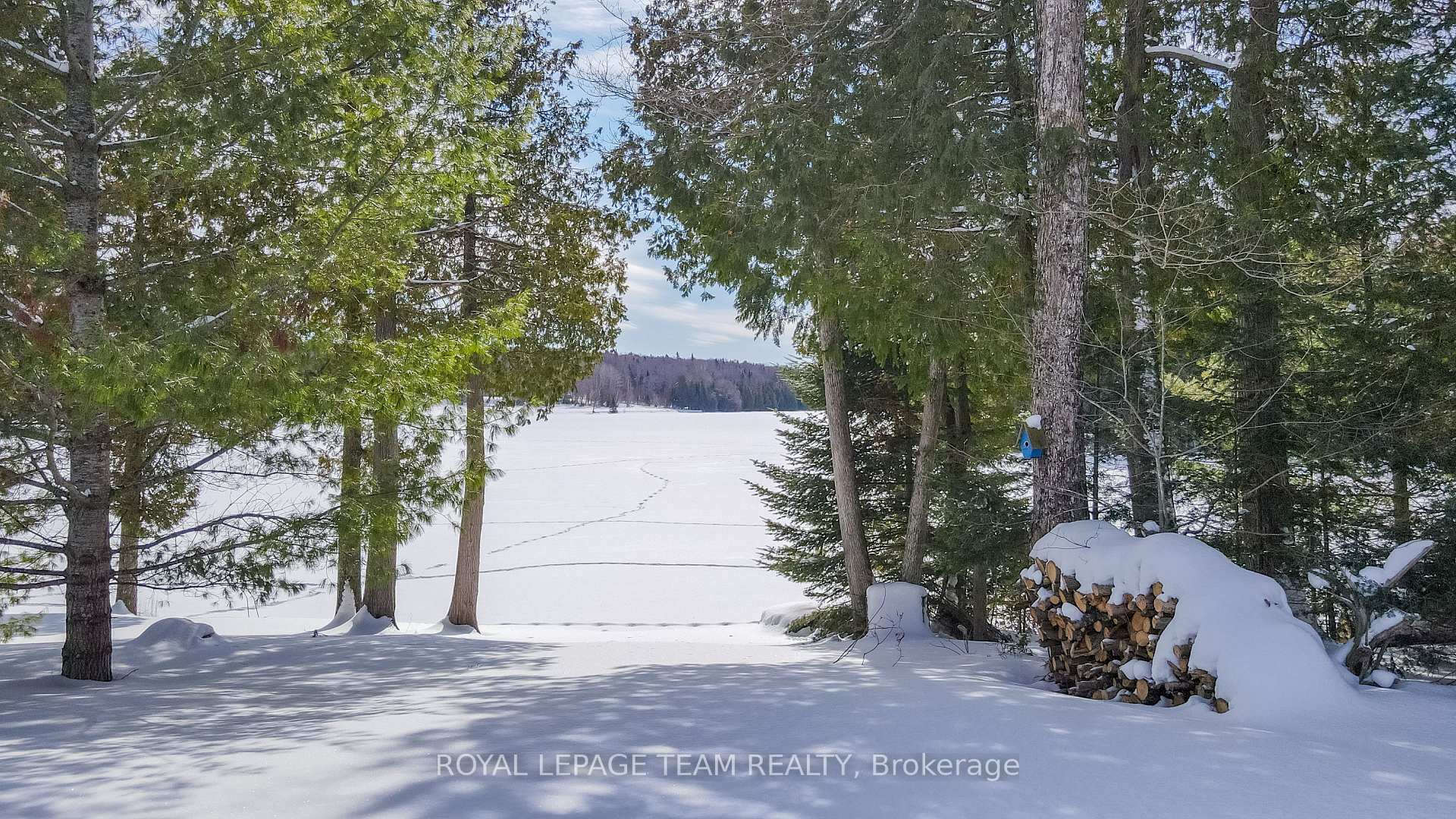 residential Property Image no.1