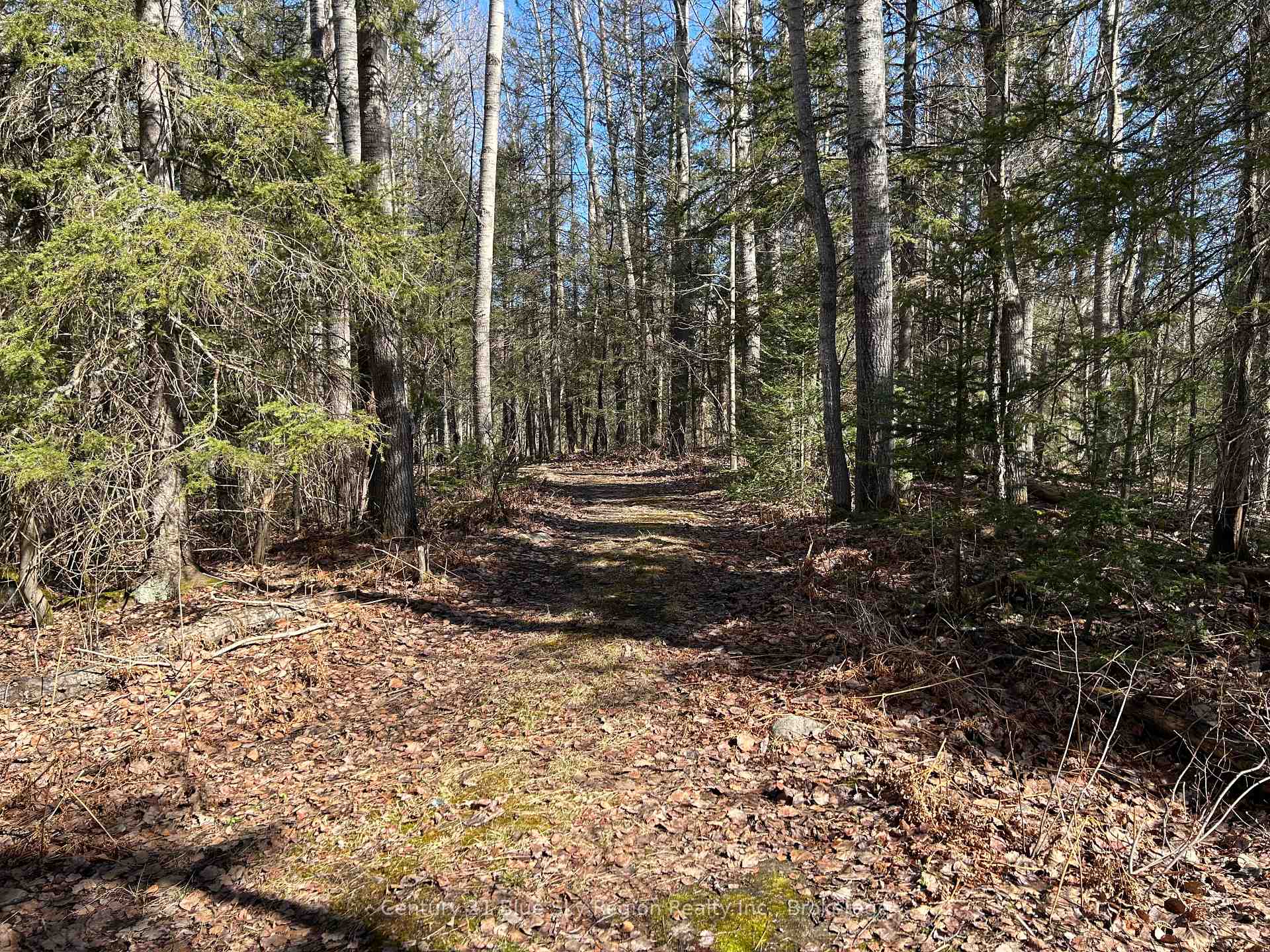 CON 9 PT LOT 17 Highway 534 N/A, Nipissing, ON K0J 0B3 — Nipissing, Ontario