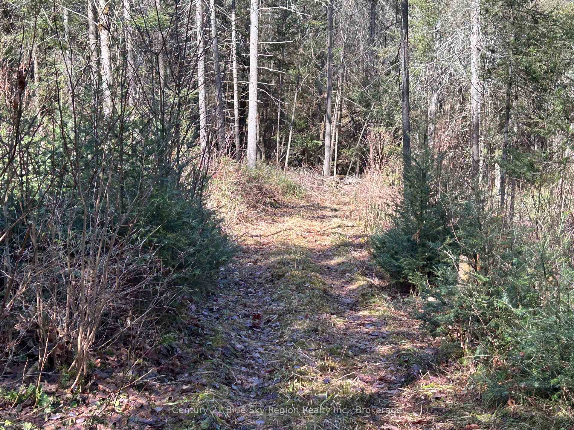CON 9 PT LOT 17 Highway 534 N/A, Nipissing — photo 4 of 5