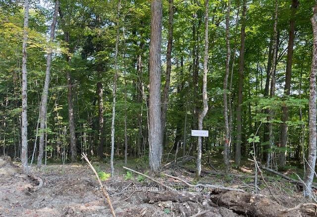 1448-1 WEST OXBOW LAKE Road, Lake of Bays — photo 5 of 5