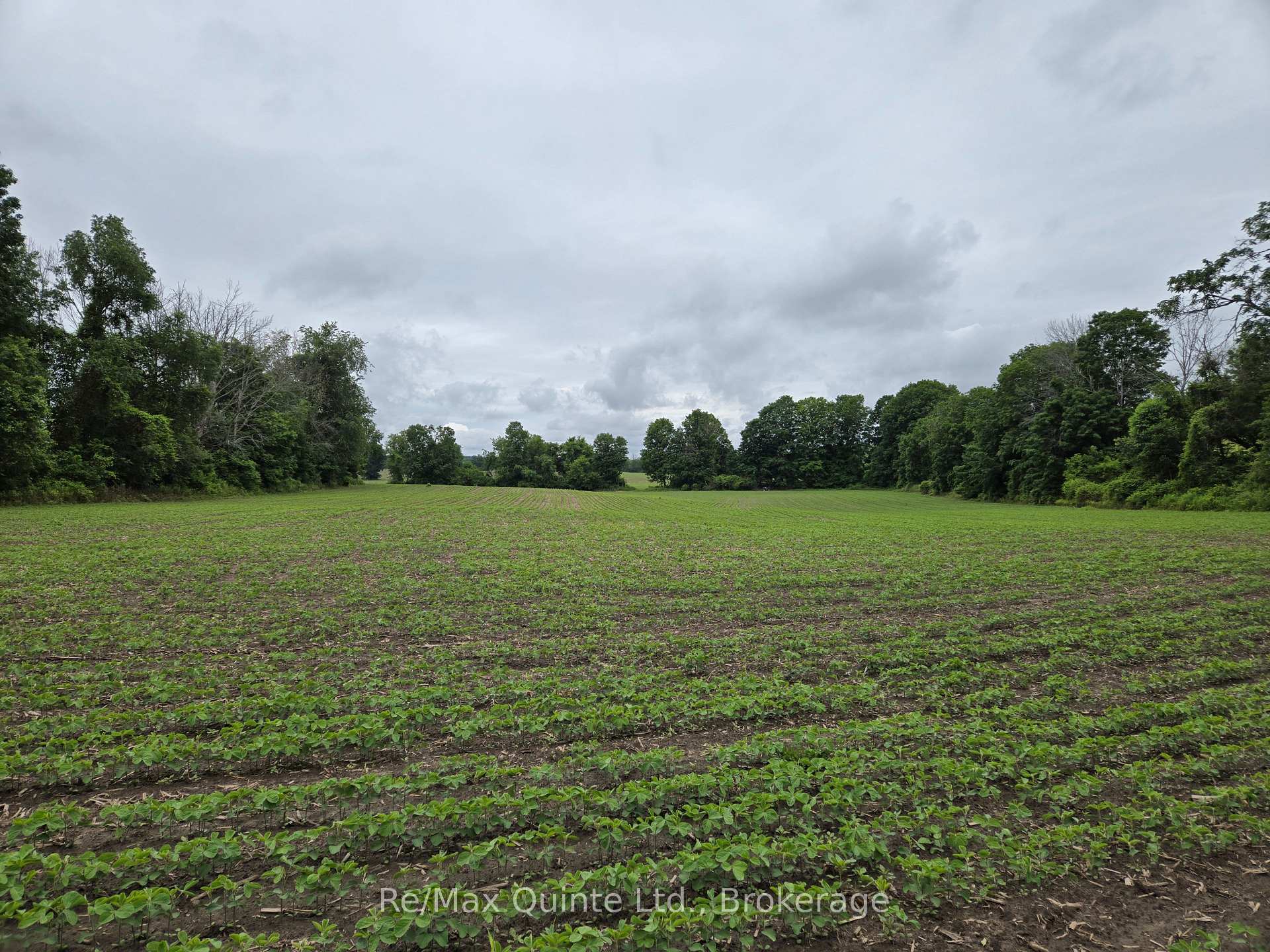 0 Marrisett Road, Tweed, ON K0K 3H0