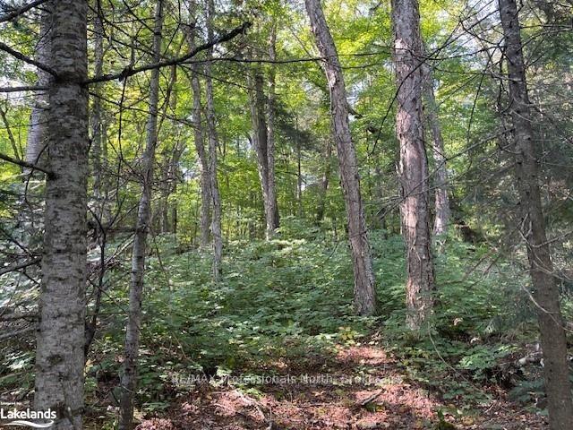 1448-3 WEST OXBOW LAKE Road, Lake of Bays — photo 4 of 5
