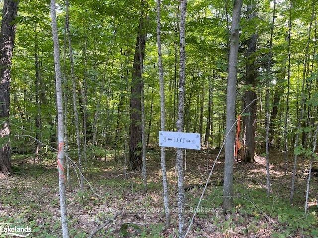 1448-3 WEST OXBOW LAKE Road, Lake of Bays — photo 5 of 5