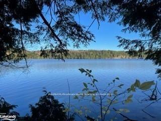 1440-6 WEST OXBOW LAKE Road, Lake of Bays — photo 2 of 5