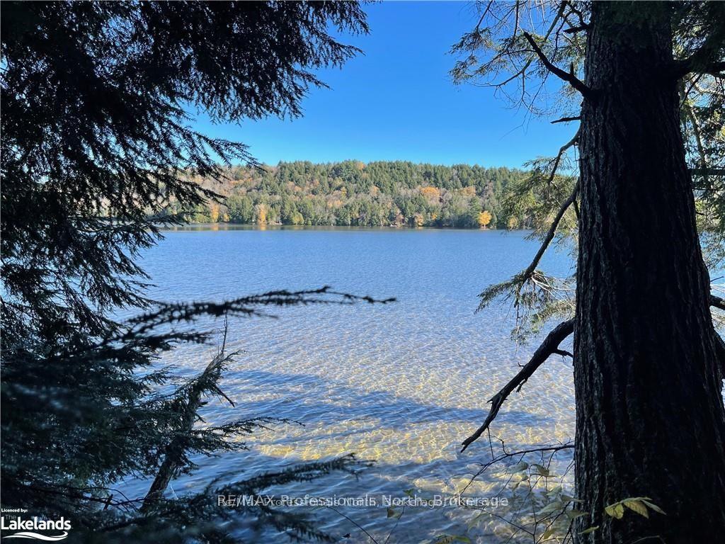 1440-6 WEST OXBOW LAKE Road, Lake of Bays — photo 3 of 5