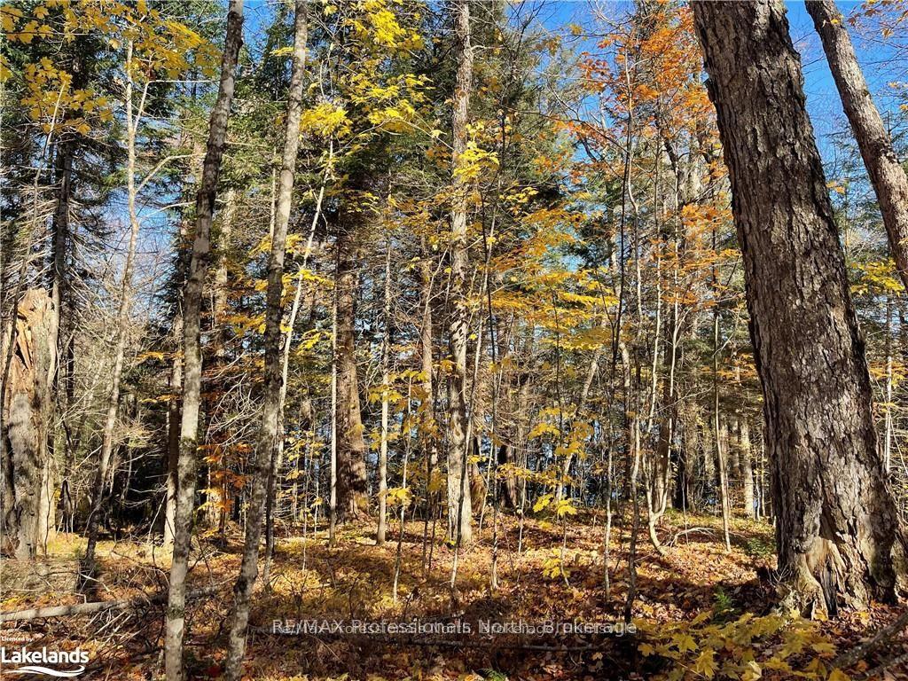 1440-6 WEST OXBOW LAKE Road, Lake of Bays — photo 5 of 5