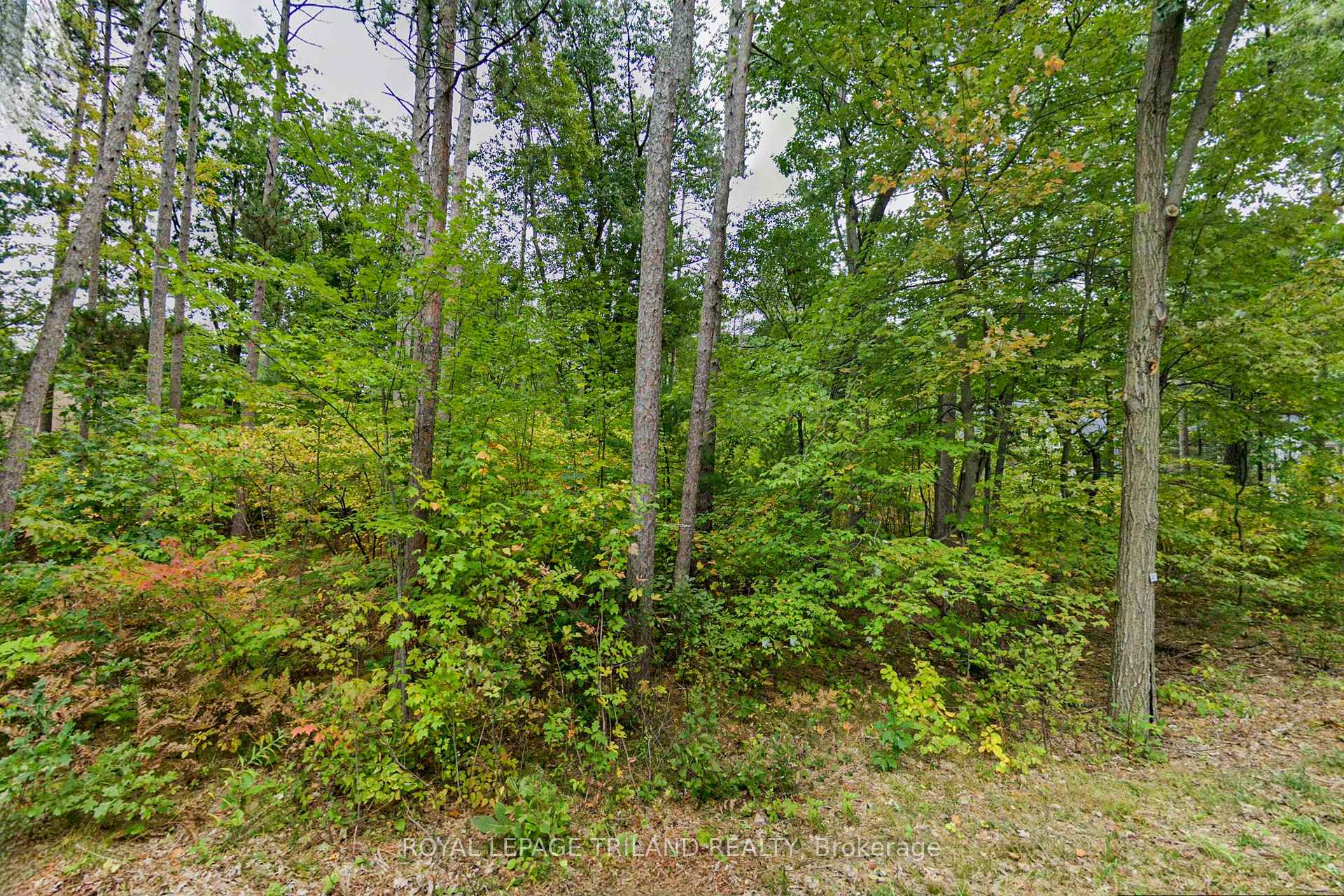 slider-listing