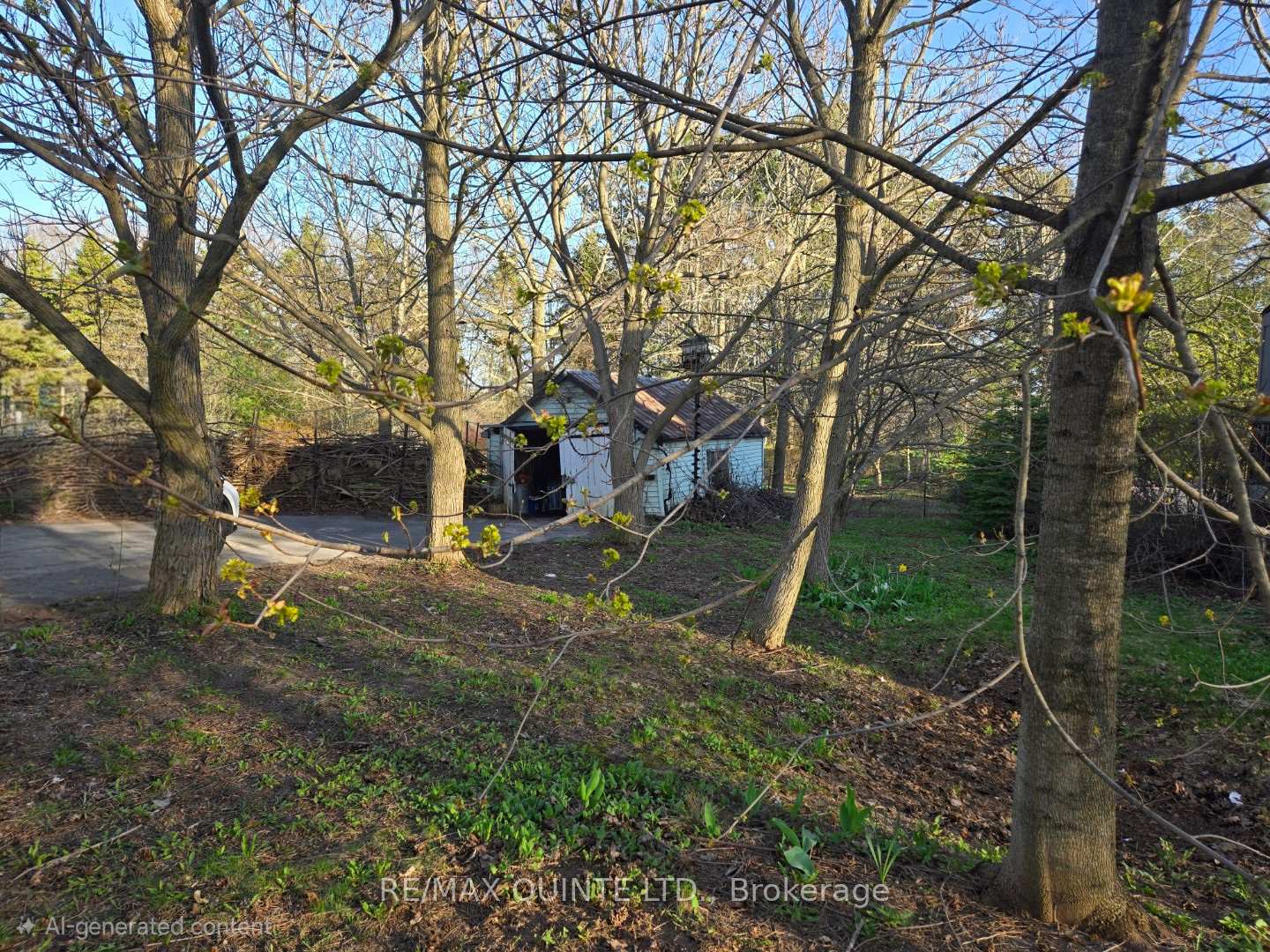 163 Main Street, Prince Edward County — photo 5 of 5