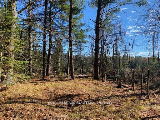 17556 Highway 62 N/A, Madoc, ON K0K 2K0 — Madoc, Ontario