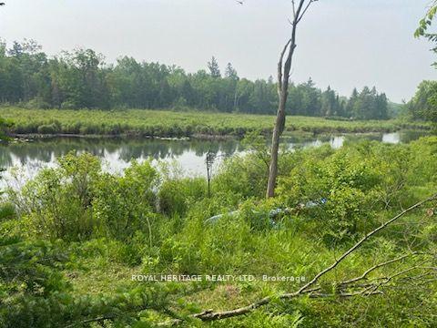 17556 Highway 62 N/A, Madoc — photo 4 of 5