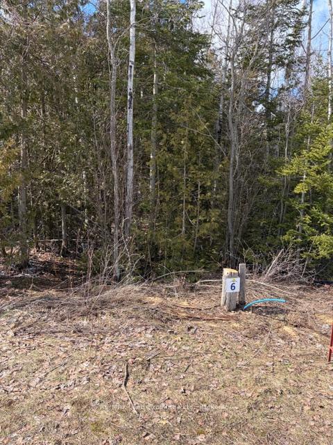 11 Lakeside Woods Crescent, Saugeen Shores, ON N0H 2C0 — Saugeen Shores, Ontario